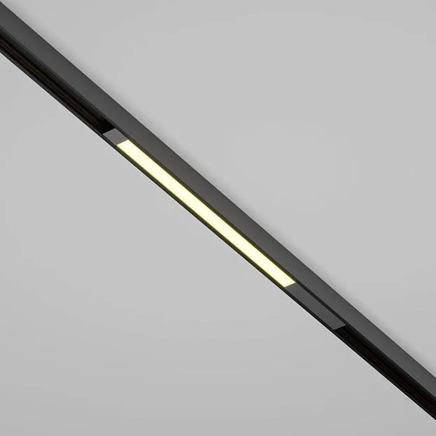 Трековый светильник Maytoni Technical TR231-2-10W3K-B