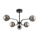 Потолочный светильник Freya FR6178CL-L30B Arch