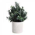 Искусственное растение в горшке Eglo 428028 CHITOSE