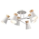 Светильник потолочный Белый, Золотистый/Белый, Дерево E27 6*60W Evoluce SLE1252-502-06 ALFEO
