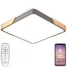 Потолочный светильник Natali Kovaltseva LED LAMPS 81413 LED Lamps