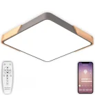Потолочный светильник Natali Kovaltseva LED LAMPS 81413 LED Lamps