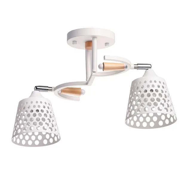 Потолочный светильни De City 635014902 Dela