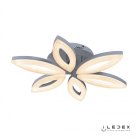 Потолочная люстра iLedex 6815/6 WH Lotus