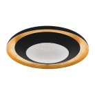 Потолочный светильник Eglo 98685 CANICOSA 2