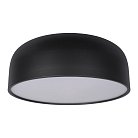 Потолочный светильник Loft IT 10201/480 Black Axel