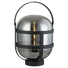 Настольная лампа Lussole LSP-0602 CLARKE