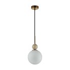 Подвесной светильник Odeon light 6625/1A LOLLA