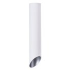 Светильник Потолочный Arte Lamp A1536PL-1WH PILON-SILVER