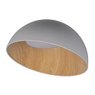 Потолочный светодиодный светильник Loft IT 10197/500 Grey Egg