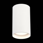 Потолочный светильник ST Luce ST157.542.20