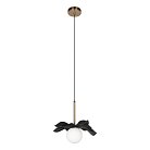Подвесной светильник Loft IT 10213/A Black Monro
