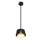 Подвесной светильник Arte Lamp A8028SP-1BK AMAKS