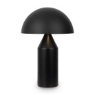 Настольный светильник Freya FR5218TL-02B1 Eleon
