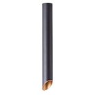 Светильник Потолочный Arte Lamp A1537PL-1BK PILON-GOLD
