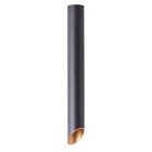 Светильник Потолочный Arte Lamp A1537PL-1BK PILON-GOLD