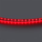 Лента цветного свечения 24V, красный Lightstar 420511
