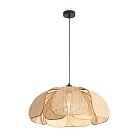 Подвесной светильник Freya FR5529PL-01B Cocoon