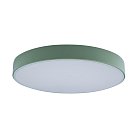 Потолочный светильник Loft It 10002/24 Green Axel