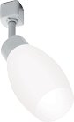 Трековый светильник Feron 41051 AL156