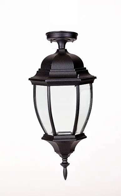 Потолочный светильник уличный Oasis Light 91205LA Bl ARSENAL L