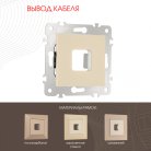 Вывод кабеля Arte Milano 203.49-1.shampan am
