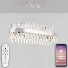 Подвесная люстра Natali Kovaltseva LED LAMPS 81249 ALEXANDRIA