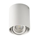 Накладной точечный светильник белый KANLUX TOLEO DTO50-W (26111)