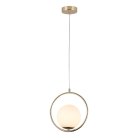 Подвесной светильник F-Promo 2786-1P Oportet