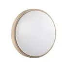 Настенно-потолочный светильник SONEX 7607/AL LOSTA