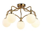 Потолочная люстра Ambrella light TR3212/5 GD/FR