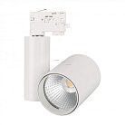 Трековый светильник Arlight 026388 LGD-SHOP-4TR FOOD