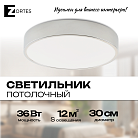 Потолочный светильник Zortes ZRS.02565.36 TORTTY