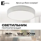 Потолочный светильник Zortes ZRS.02565.36 TORTTY