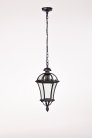 Уличный светильник подвесной Oasis Light 95205L Bl