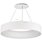 Подвесной светильник Arlight 022149(1) TOR RING