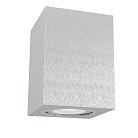 Потолочный светильник Maytoni C017CL-01S Alfa