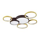 Потолочный светильник Lumion 5255/99CL Norbert