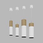 Подвесной (накладной) светодиодный светильник Ledron SLC7392/12W-PS White-Black