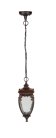 Уличный светильник подвесной Oasis Light 86205 R VERONA