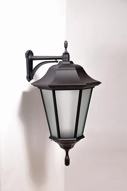 Настенный светильник уличный Oasis Light 79826 Bl