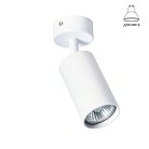Светильник Потолочный Arte Lamp A3216PL-1WH AQUARIUS