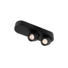 Накладной светильник Loft IT 10320/2 Black Quiet