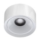 Накладной светильник Citilux CL743060N ROVER