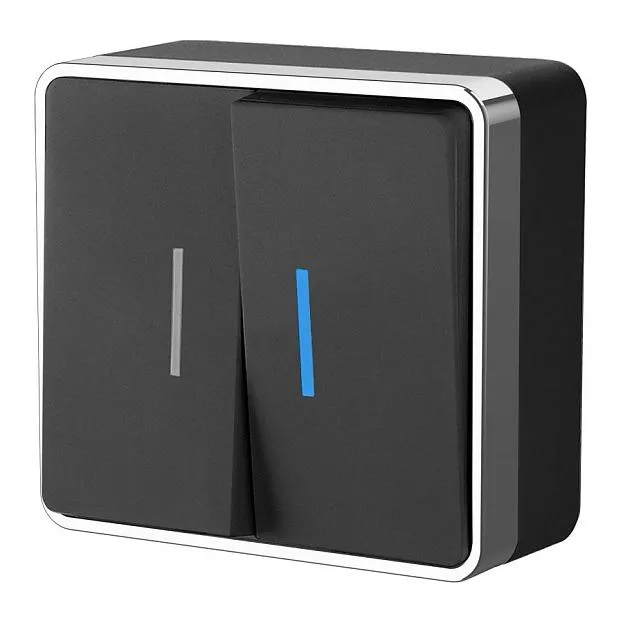 Выключатель двухклавишный с подсветкой Werkel W5020135 Gallant (черный/хром) a050975 Выключатель двухклавишный с подсветкой Werkel W5020135 Gallant (черный/хром) a050975