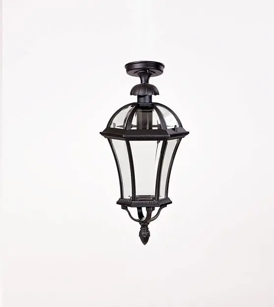 Потолочный светильник уличный Oasis Light 95205LA Bl ROMA L