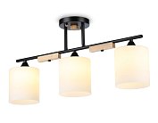 Потолочный светильник Ambrella light TR9551 Traditional Modern