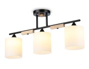 Потолочный светильник Ambrella light TR9551 Traditional Modern