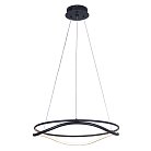 Люстра подвесная Lightstar 736517 Rotonda