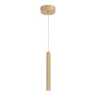 Светильник подвесной ST-Luce ST614.213.06